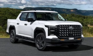 LDV Terron 9